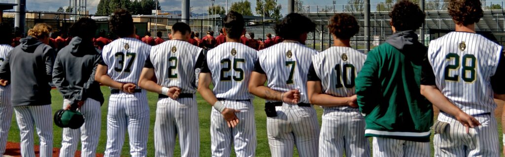 LA Valley College baseball